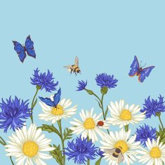 Greeting Card with Blooming Chamomile N2