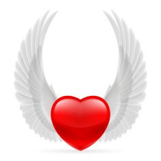 Heart with wings up N6