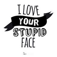 Inspirational romantic quote card I love your stupid face
