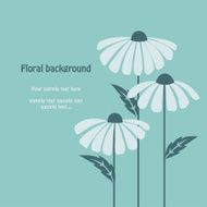 Floral vector Chamomile background N2