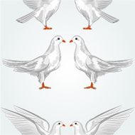 Seamless texture white dove vector