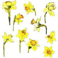 watercolor vector floral set N5