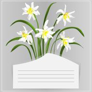 Card with daffodils