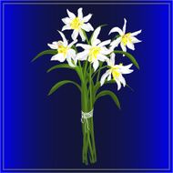 Spring bouquet of daffodils