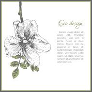 Eco card template design with dog-rose flower