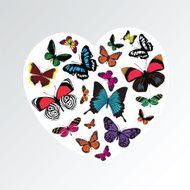 butterfly heart pattern