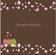 Two funny love the owl sitting on a flowering branch N2