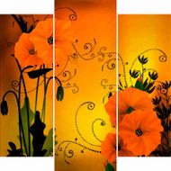 Floral background with flowers of poppy N2