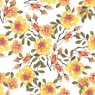 Watercolor flowers Roses N9
