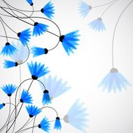 Abstract nature background Blue cornflowers N2