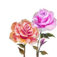 Vinage pink and yellow roses
