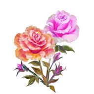Vinage pink and yellow roses N3