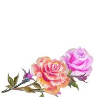 Vinage pink and yellow roses N4