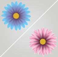 Vector Flowers N9