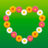 Daisy Aster Marguerite Flowers Heart