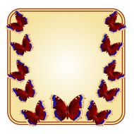 Frame with butterflies vector