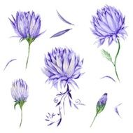 Watercolor floral design elements N2