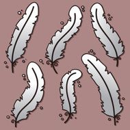 Feathers collection N2