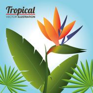 Flowers design vector illustration N6
