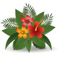 Flowers design vector illustration N8