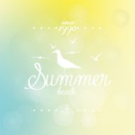 Summer N55