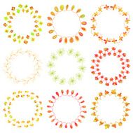set of beautiful floral wreathes perfect for spring designs N3