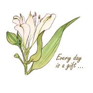White watercolor Lily flower