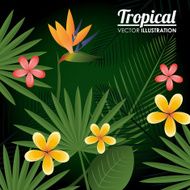 Flowers design vector illustration N14