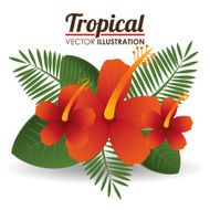 Flowers design vector illustration N16