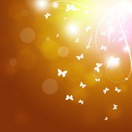 Spring Butterflies