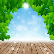 Wood Floor Spring Decoration Background