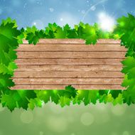 Spring Nature Wood Background