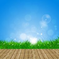 Spring background N29