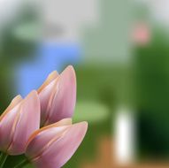 Soft pink bouquet of tulips