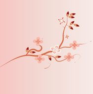 Japanese branch blossom pink background