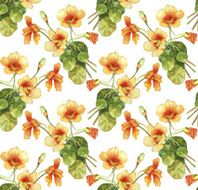 Nasturtium flowers watercolor seamless pattern N2