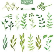 Watercolor green branches Vintage floral set