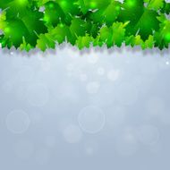Spring Nature Background