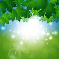 Spring Sunny Nature Background