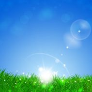 Green Spring Grass Background