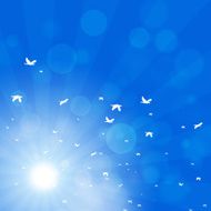 Spring Birds Come