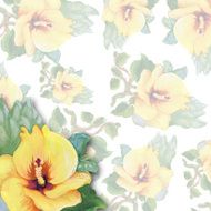 Floral colorful spring flowers pattern on white background N4