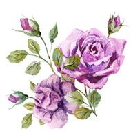 Nice roses N2