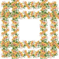 Floral colorful mallow flowers pattern on white background N2