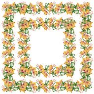 Floral colorful mallow flowers pattern on white background N3