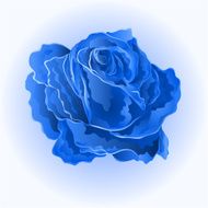 Blue flower rose vector