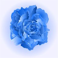 Blue Rose Flower vector