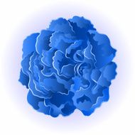 Blue rose simple vector