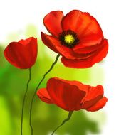 poppies vector illustration hand drawn painted