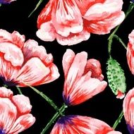 Dramatic Romas Floral Pattern N2